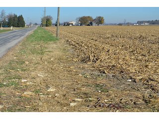 Tracts 4 & 5 - FARMLAND AUCTION - 165.5+/- ACRES OFFERED IN 5 TRACTS OR COMBINATIONS IN EAST ALLEN COUNTY